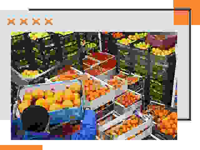 Перевозка скоропортящихся продуктов в Ступино